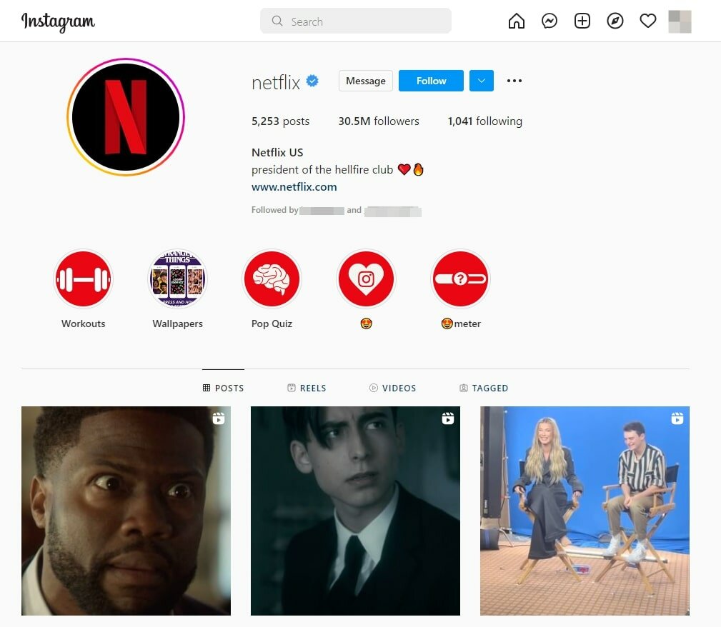 netflix&rsquo;s profile on insta